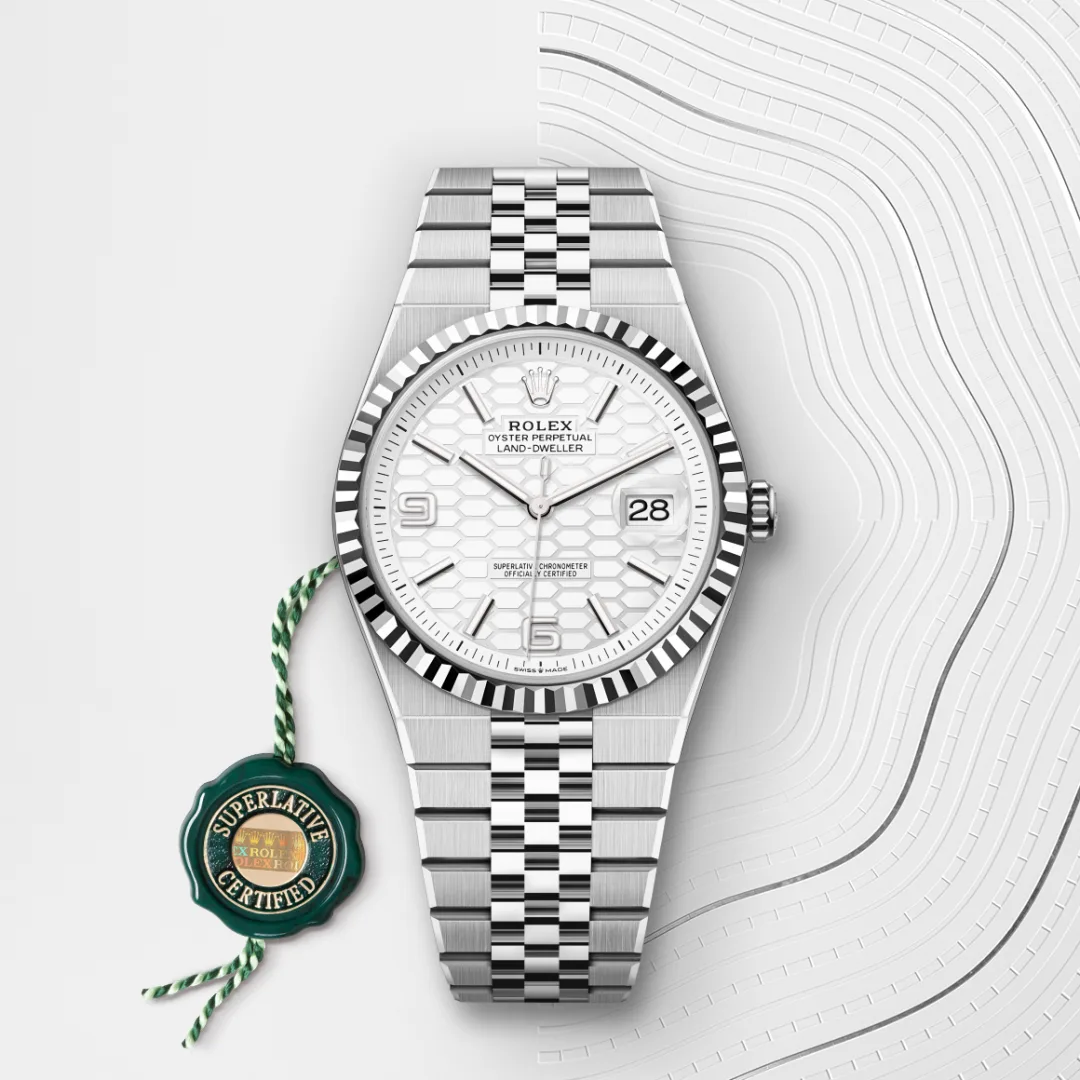 Rolex Land-Dweller 36 White Gold
