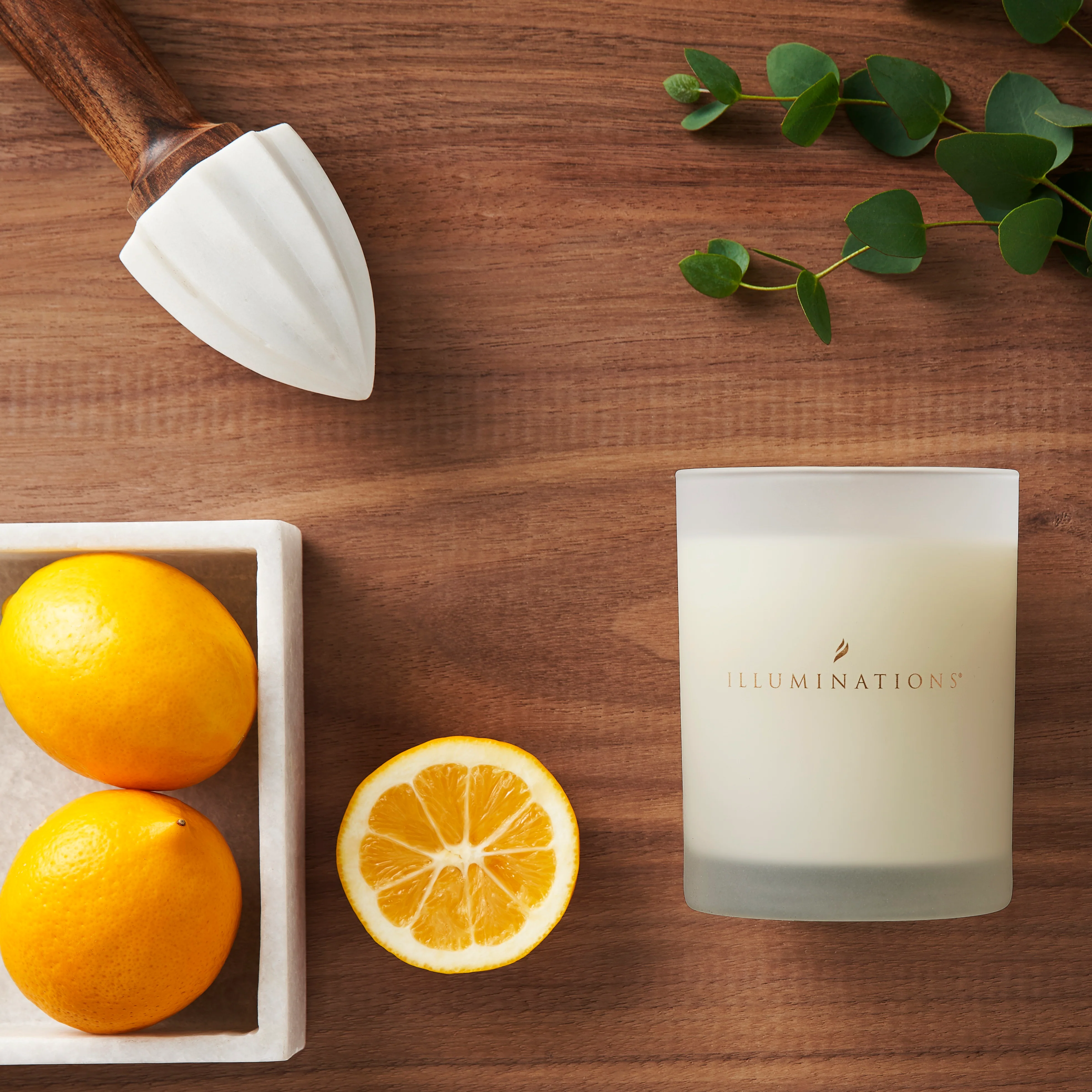 Meyer Lemon Signature Scented Candle