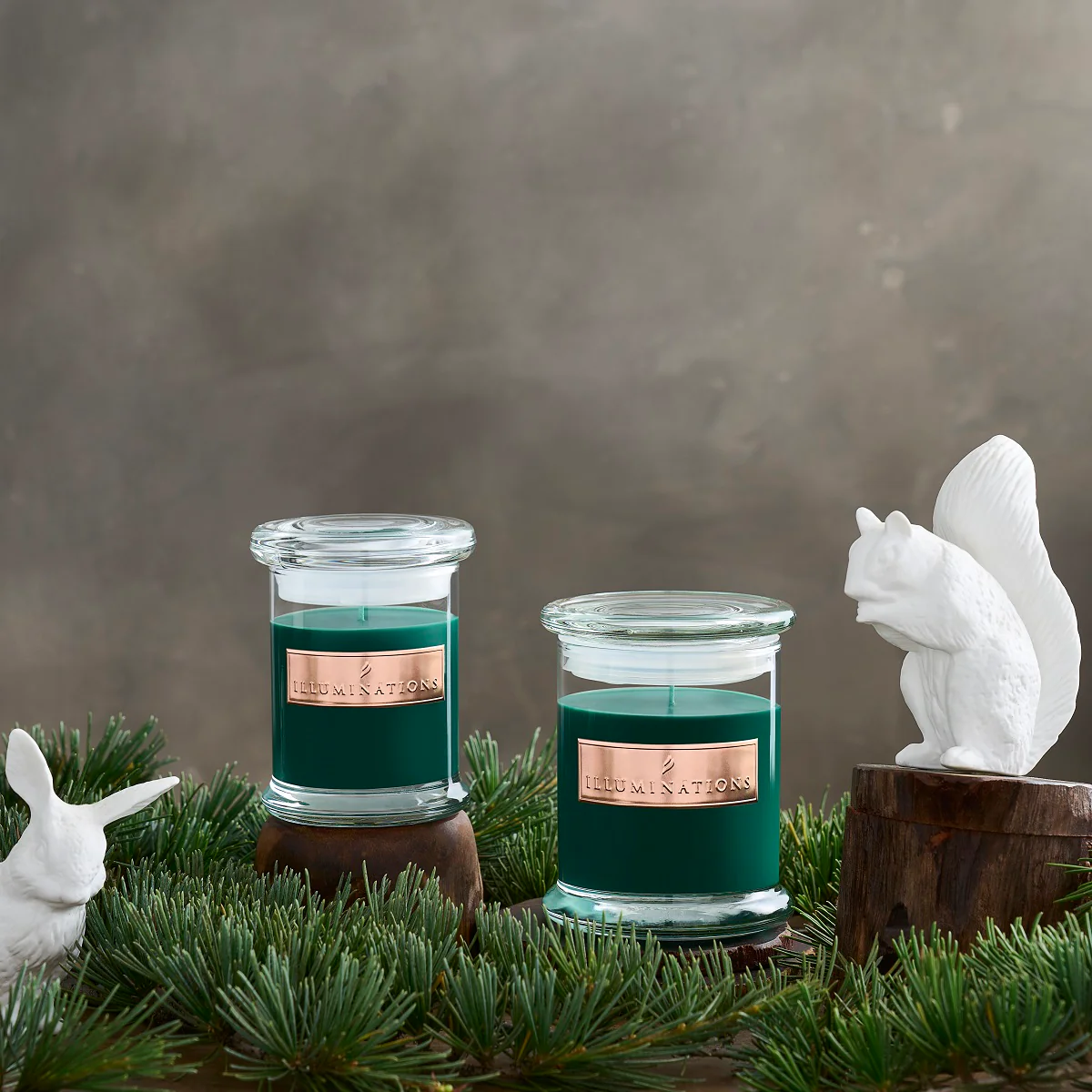Wild Woodlands 8.5 oz. Status Jar Candle