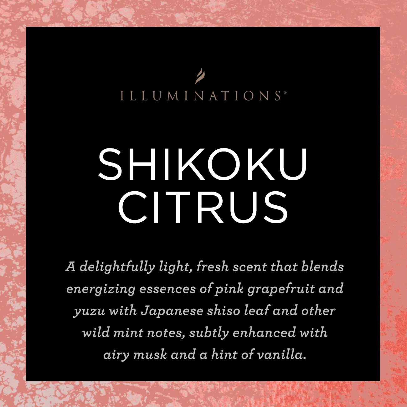Shikoku Citrus Signature Scented Candle