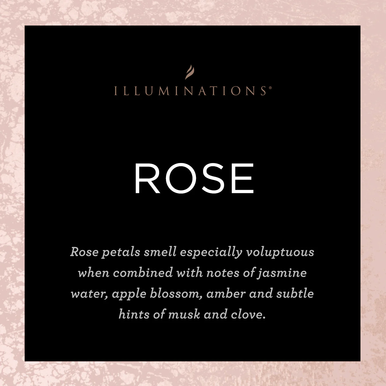 Rose Signature Scented Candle