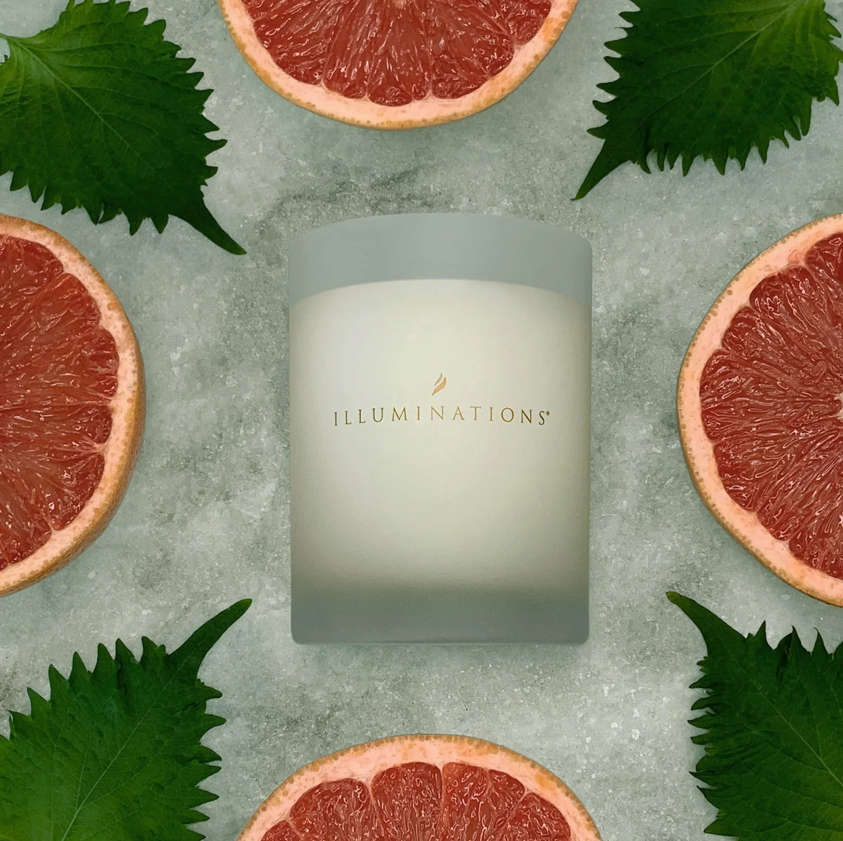 Shikoku Citrus Signature Scented Candle