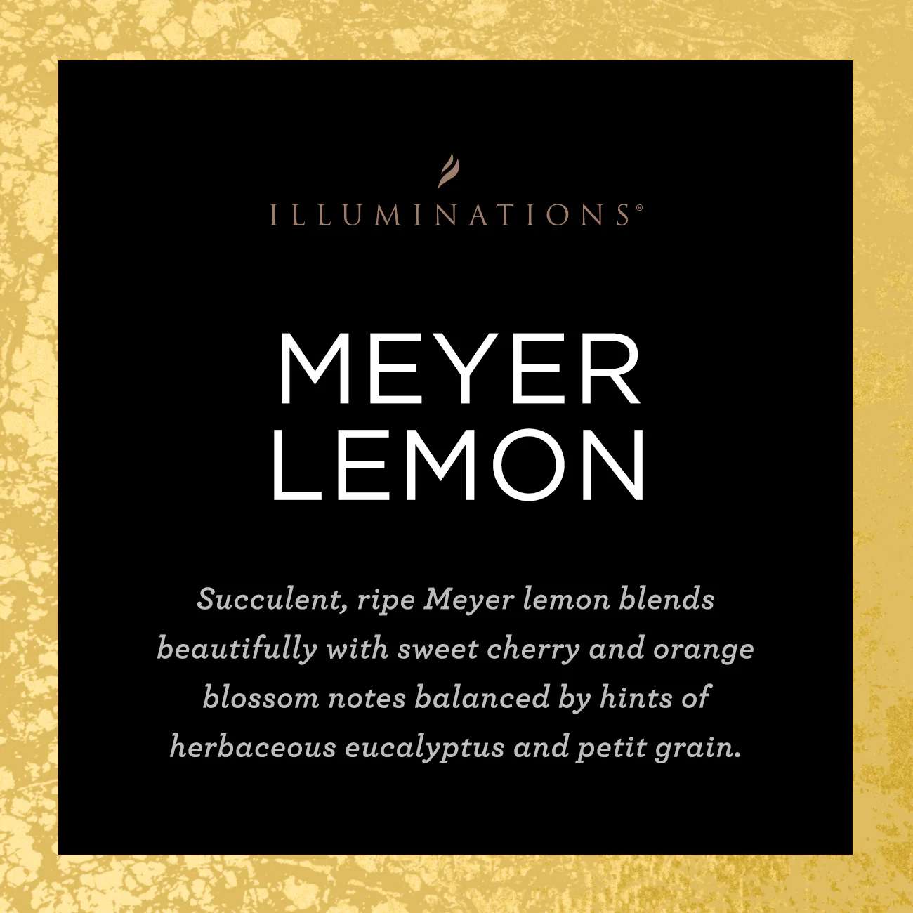 Meyer Lemon Signature Scented Candle