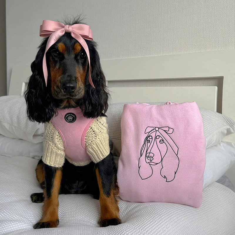 Custom Embroidered Hoodie