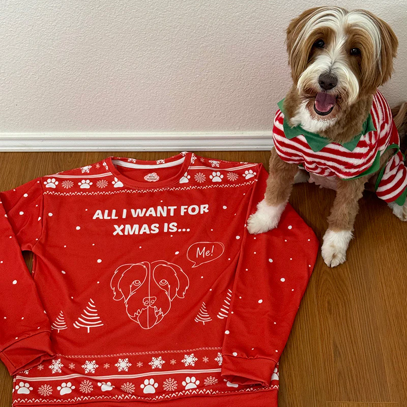 Custom Christmas Sweater