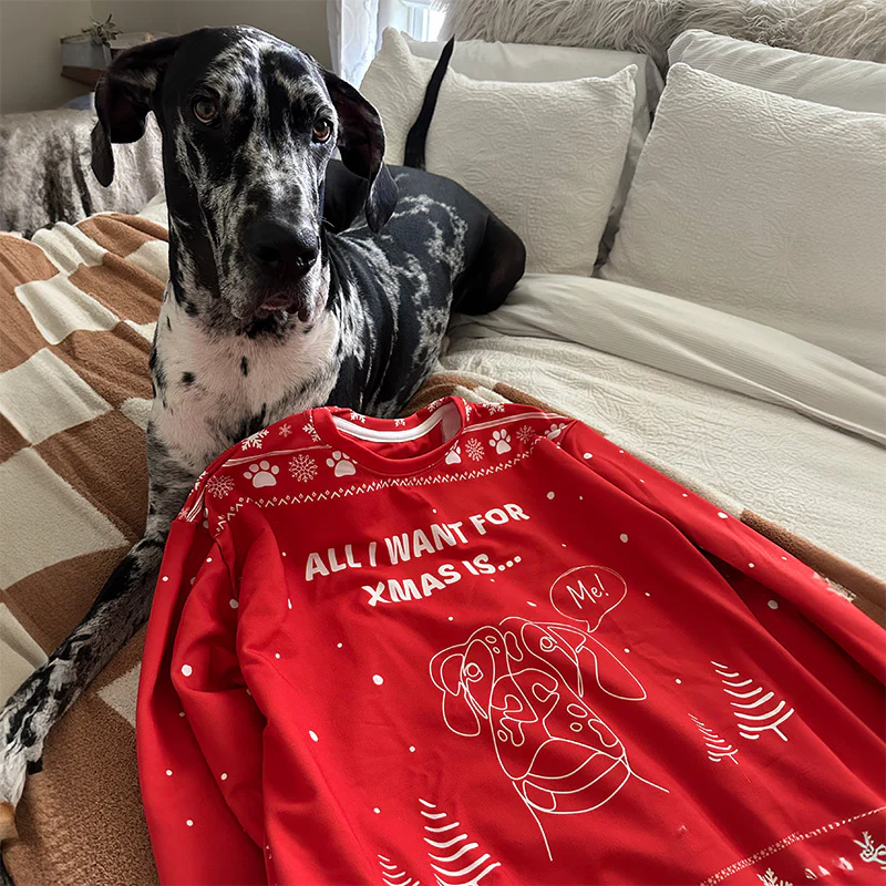 Custom Christmas Sweater