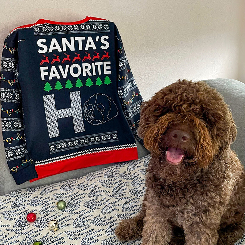Custom Christmas Sweater