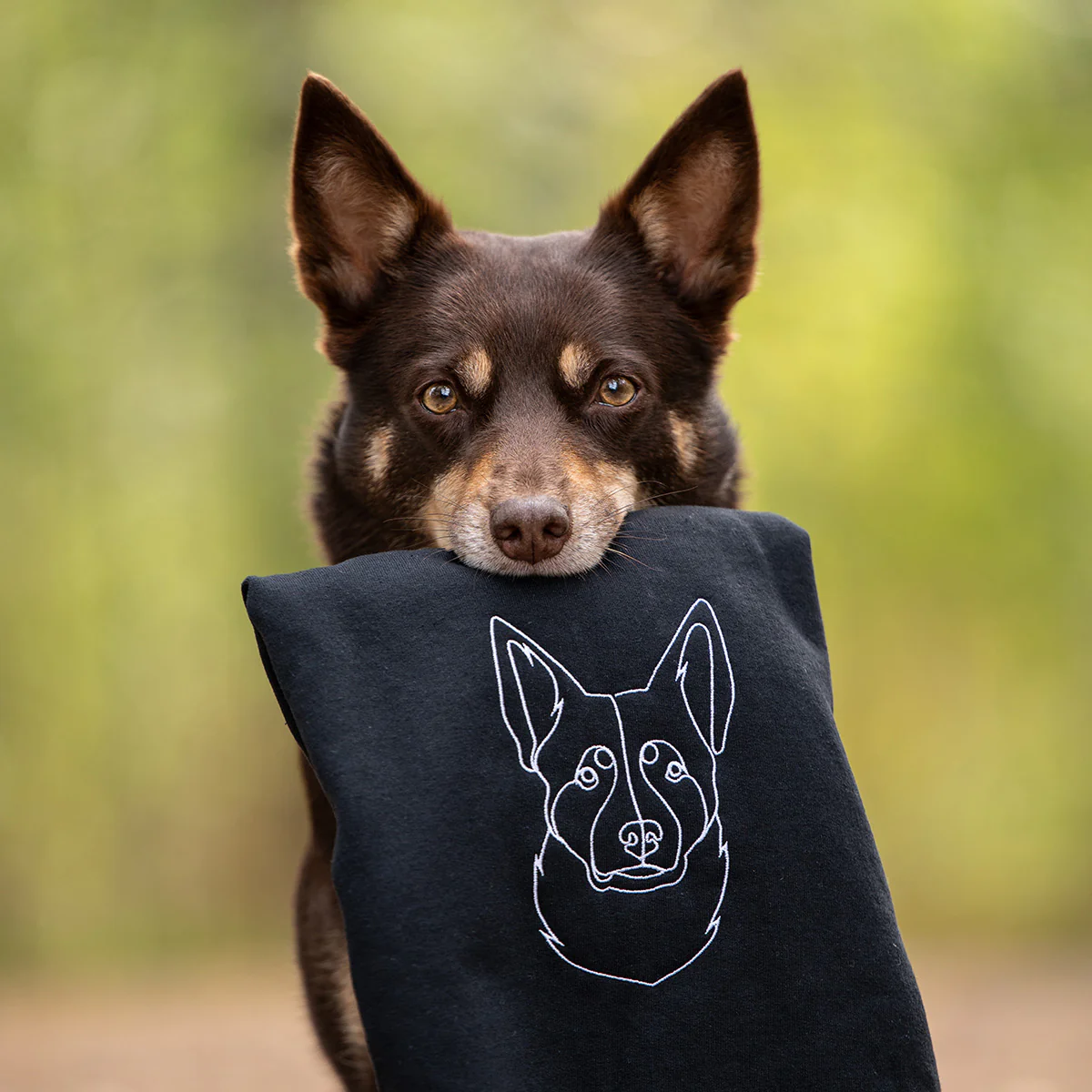 Custom Embroidered Sweatshirt