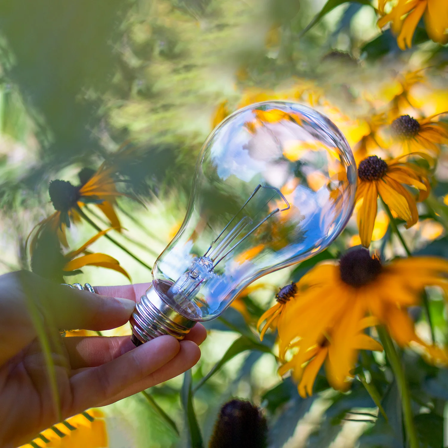A21 / 75W Chromalux® Full Spectrum Light Bulb