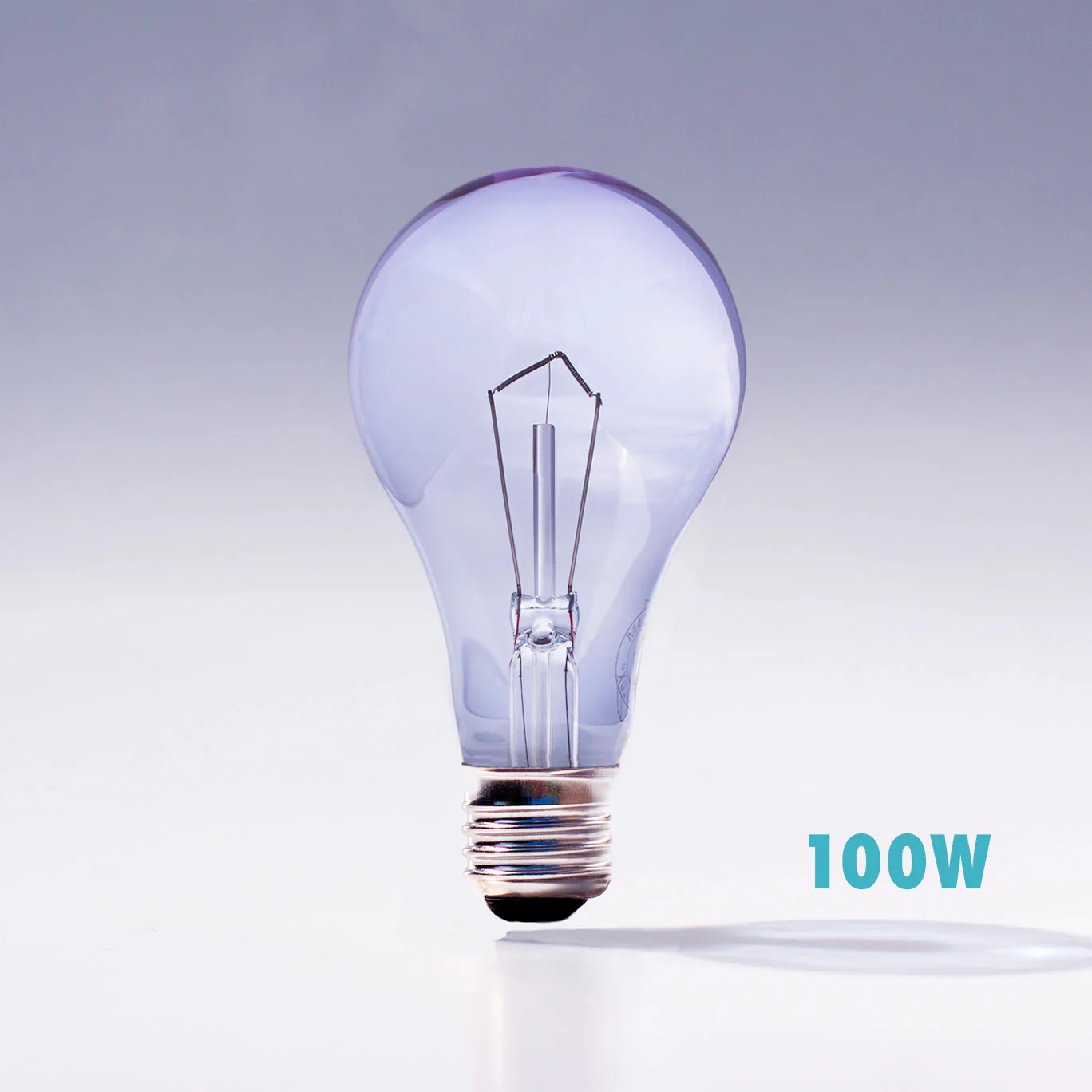 A21 / 100W Chromalux® Full Spectrum Light Bulb