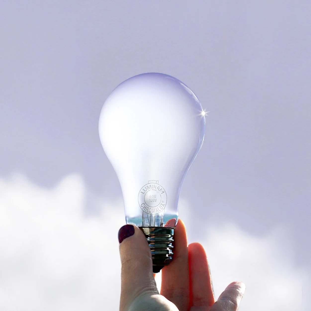 A19 / 60W Chromalux® Full Spectrum Light Bulb