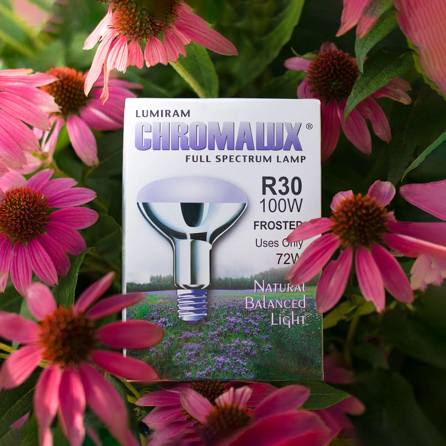 R30 / 72W Chromalux® Enhanced™ Full Spectrum Reflector Flood Light Bulb