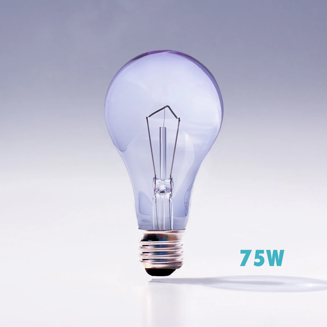 A21 / 75W Chromalux® Full Spectrum Light Bulb
