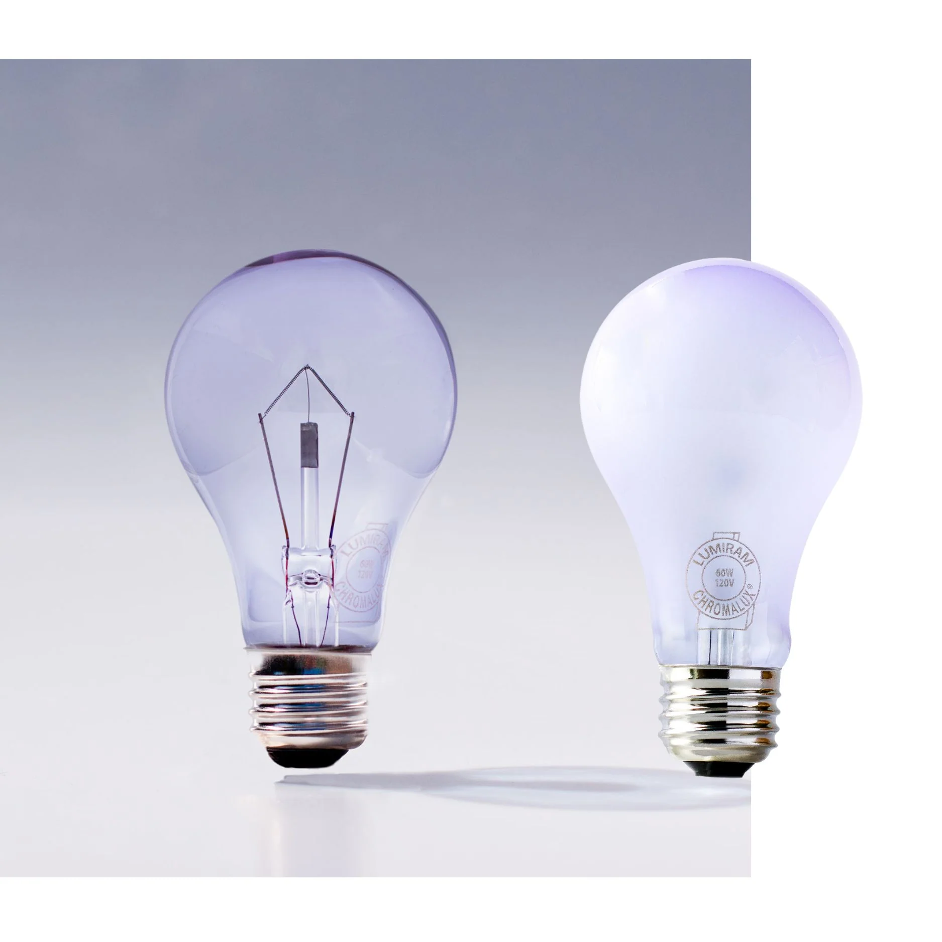 Chromalux® Full Spectrum Best Sellers Gift Bundle (4 standard bulbs)
