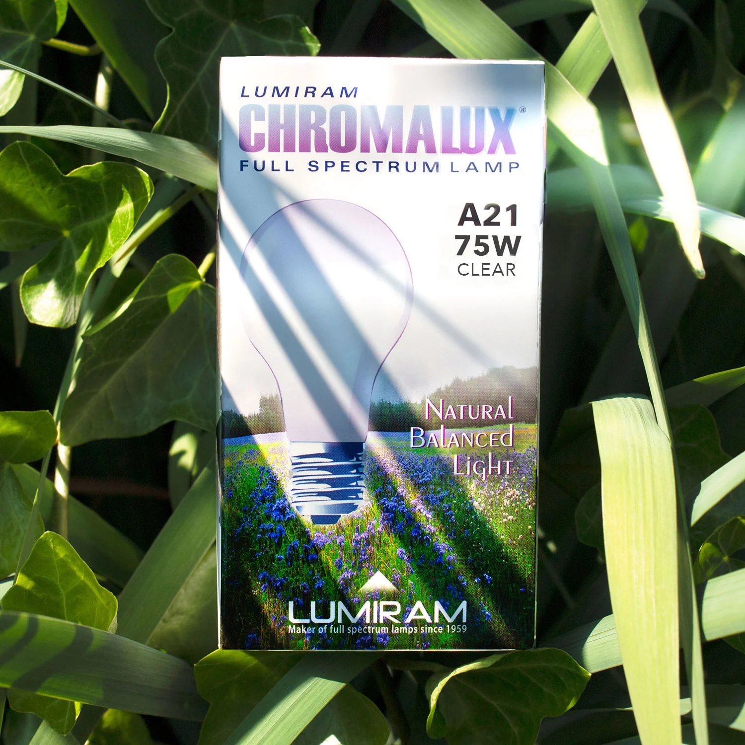 A21 / 75W Chromalux® Full Spectrum Light Bulb