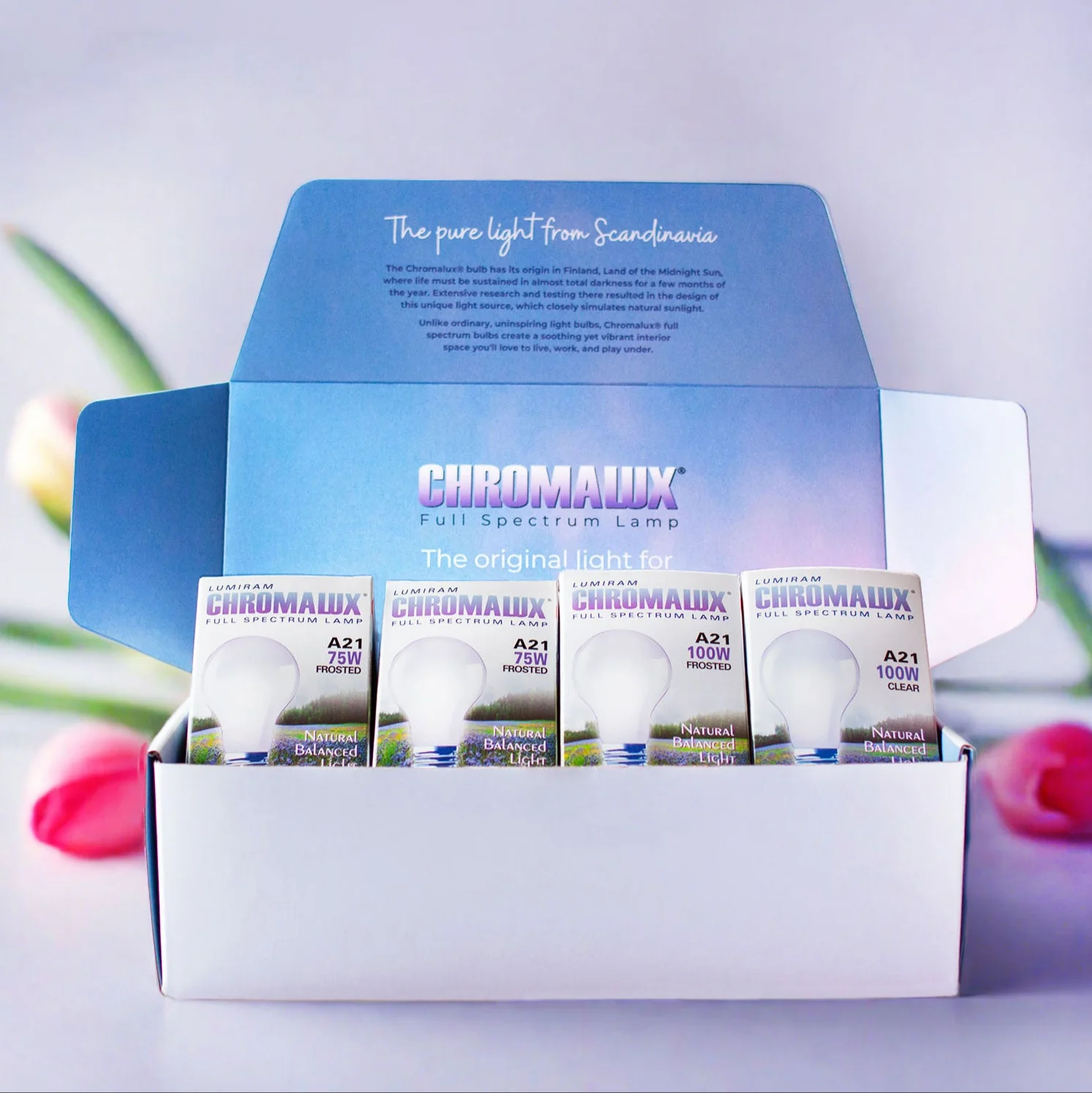 Chromalux® Full Spectrum Best Sellers Gift Bundle (4 standard bulbs)