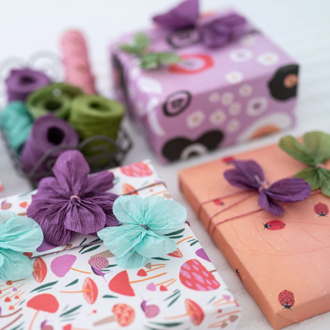 Seeds 'n Blooms/ Ladybugs