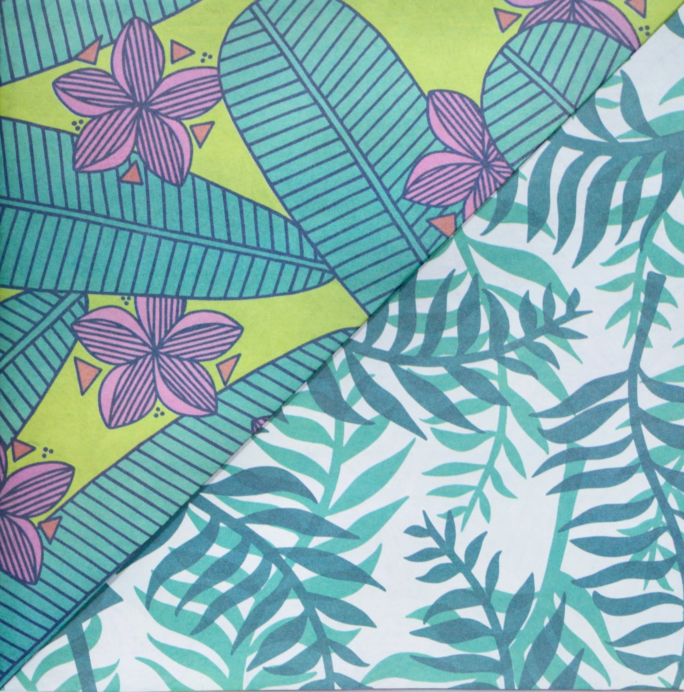 Jana Lam - Plumeria + Palm Shadow