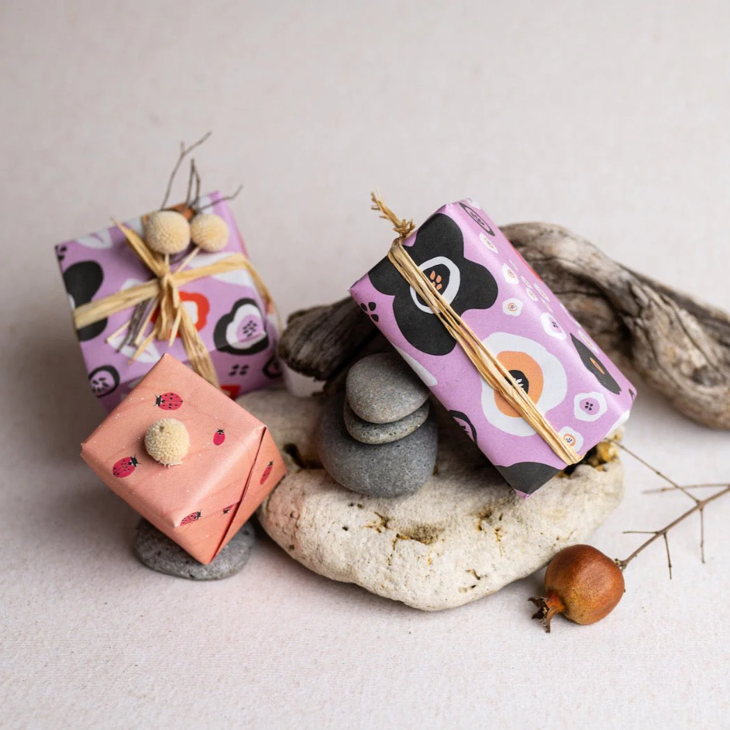 Seeds 'n Blooms/ Ladybugs