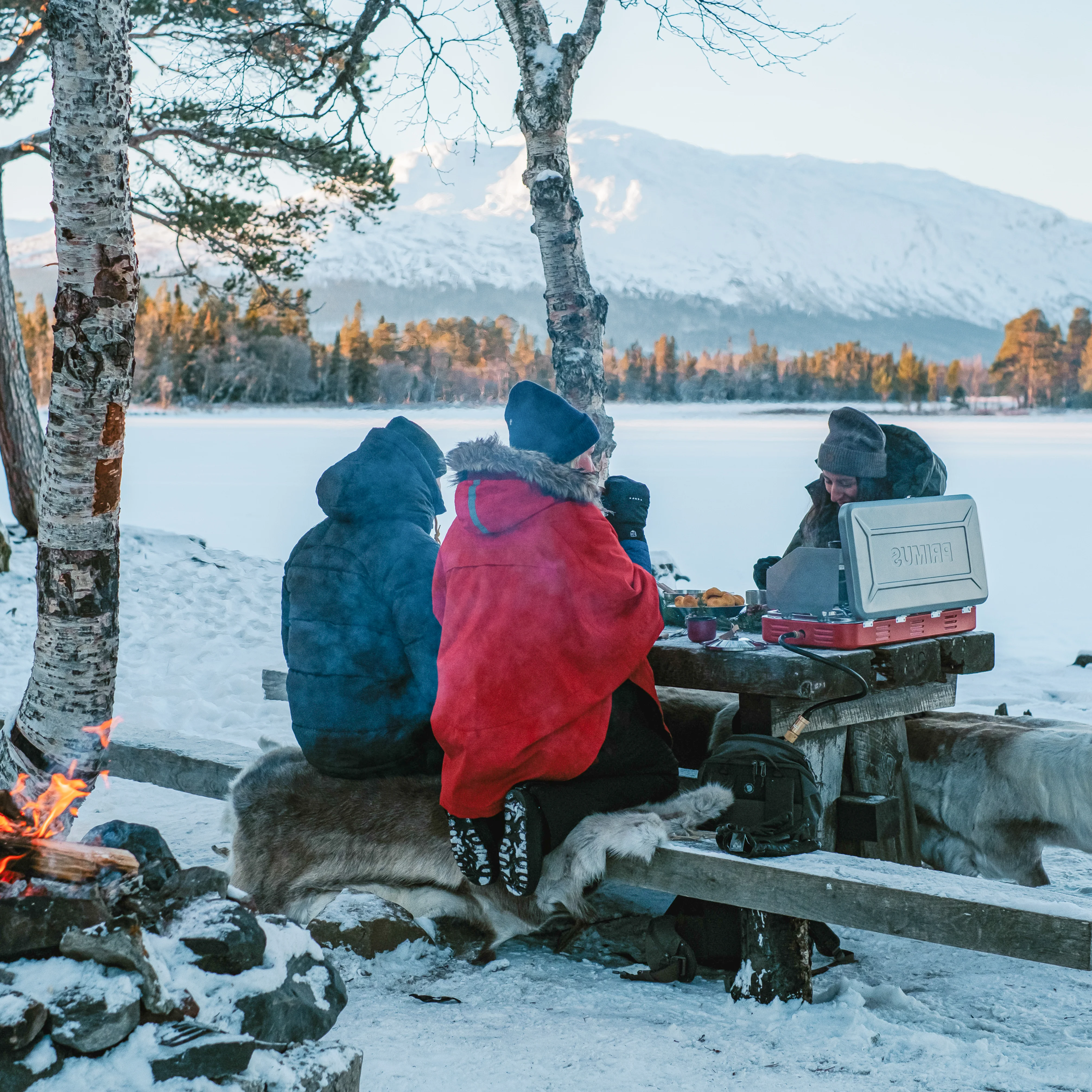 Profile Camping Stove