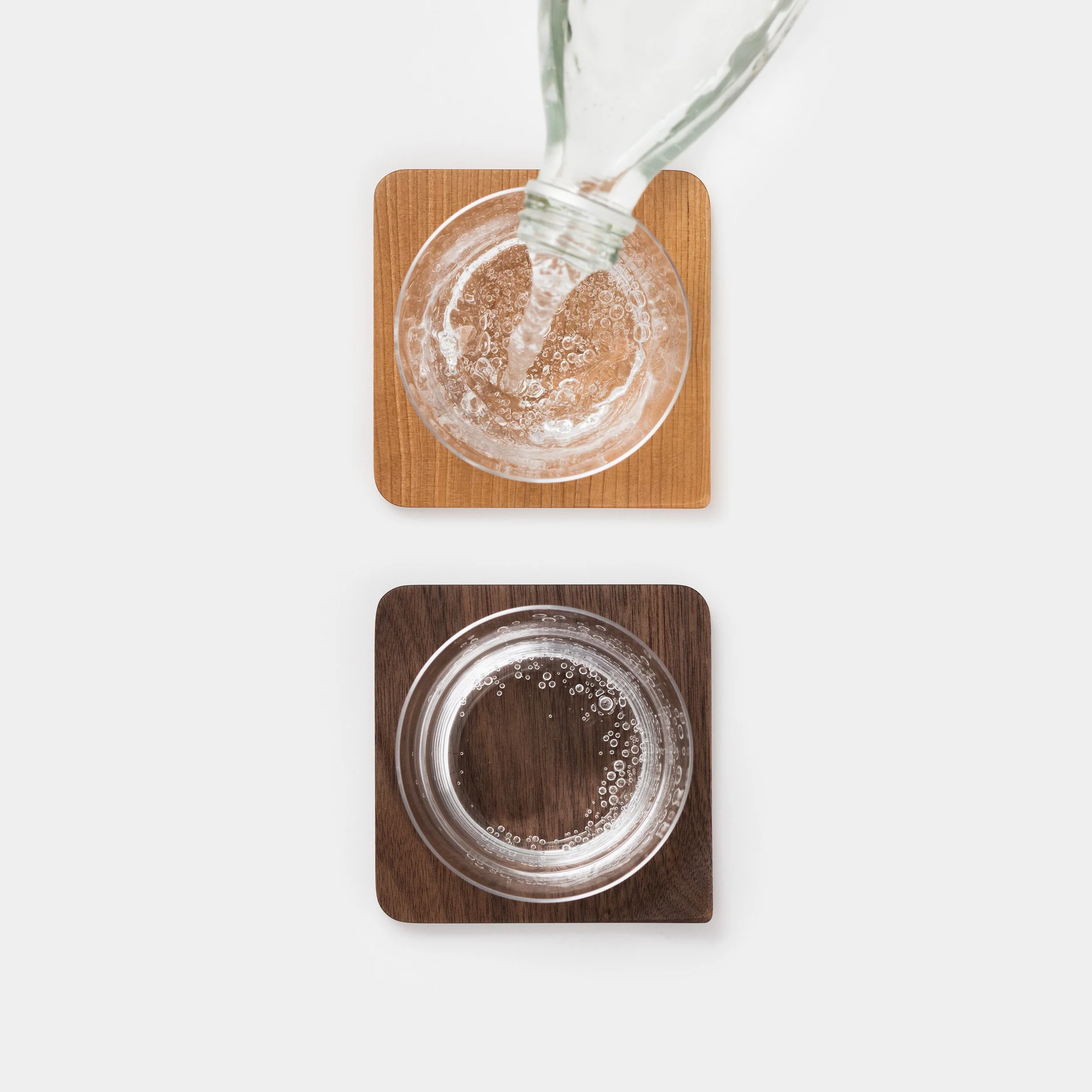 Mogu-Kagu Coaster