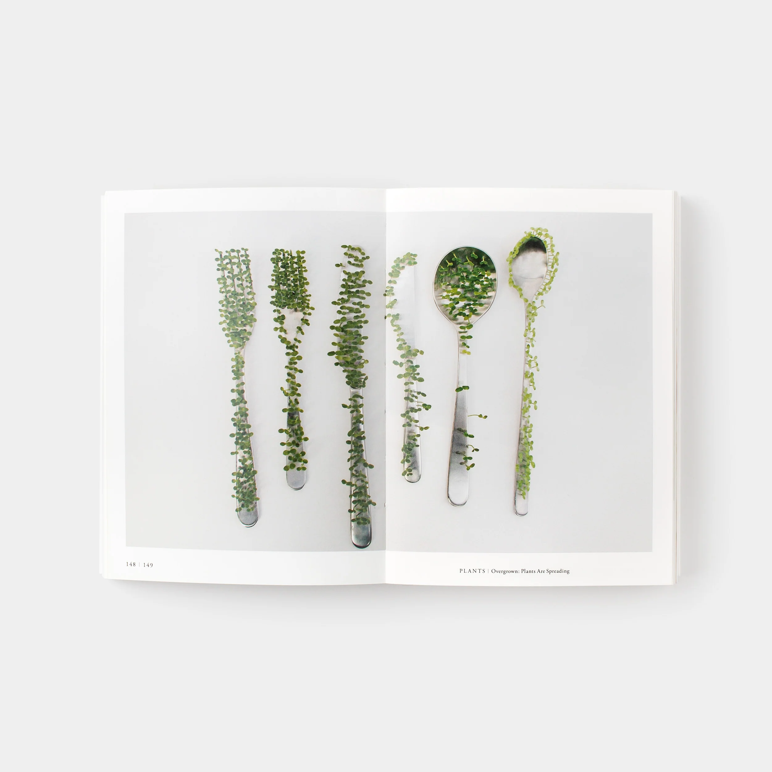 Ex-formation by Kenya Hara