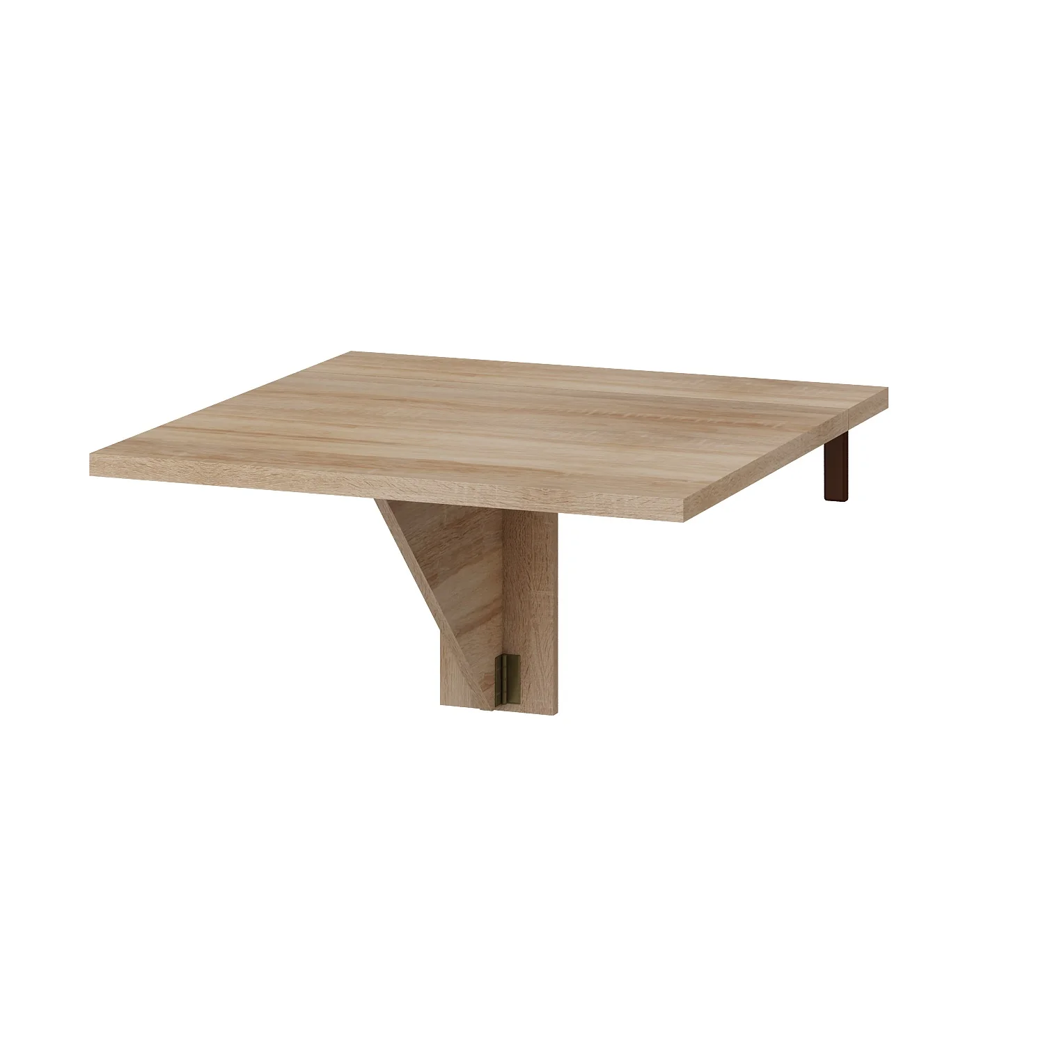 Expert B Wall-Mounted Folding Dining Table