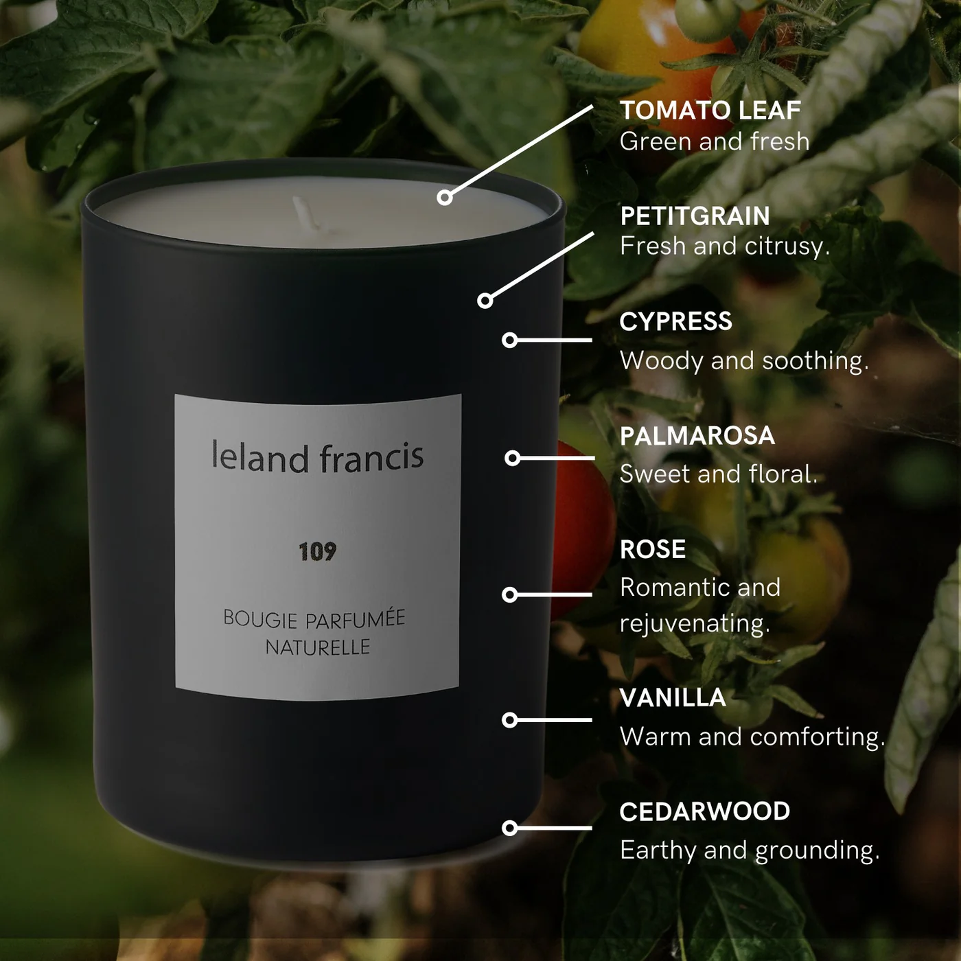 Bougie Parfumee Candle 109 Serene Garden with Tomatoes and Roses