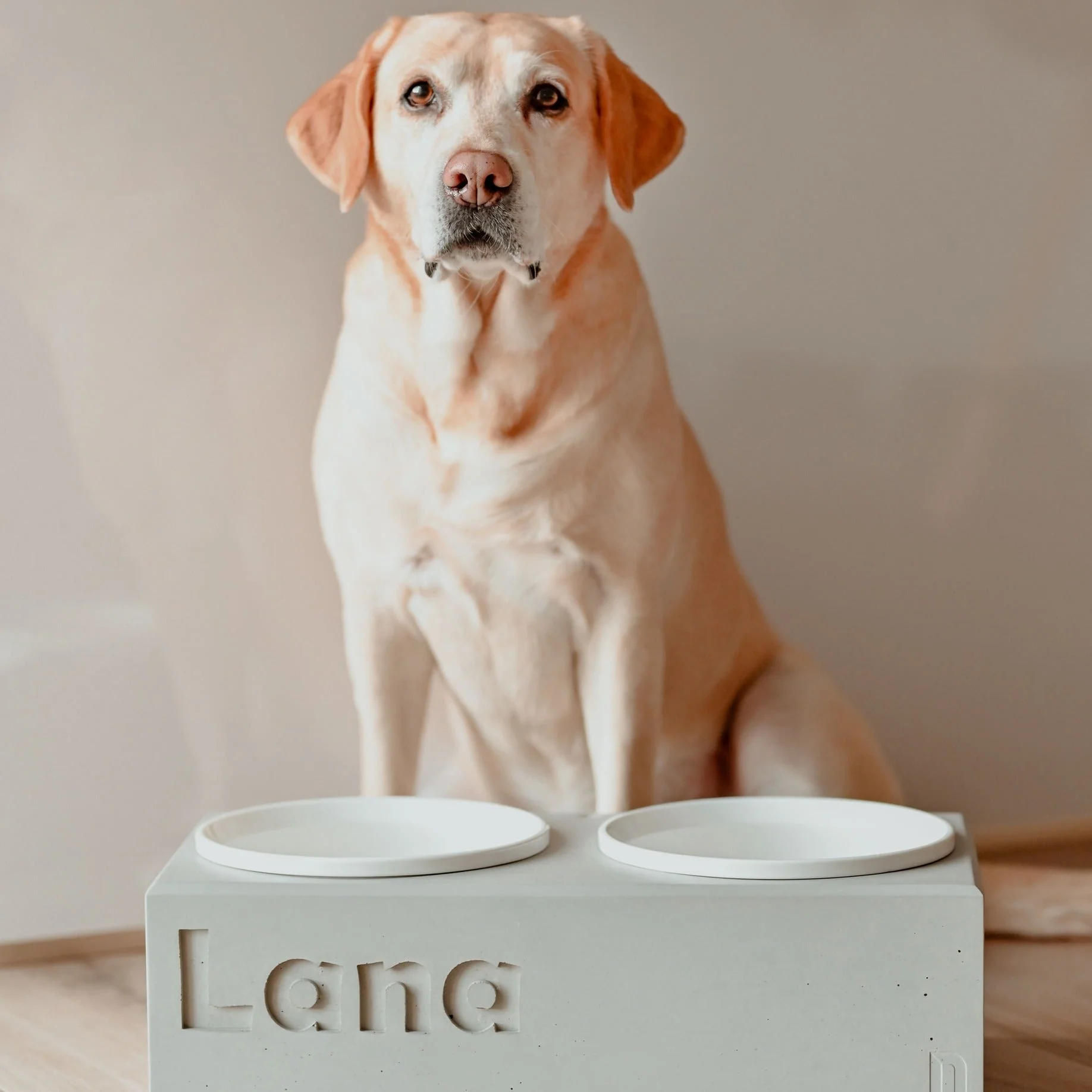 Futterstation Hund PATERA DUO Personalisiert