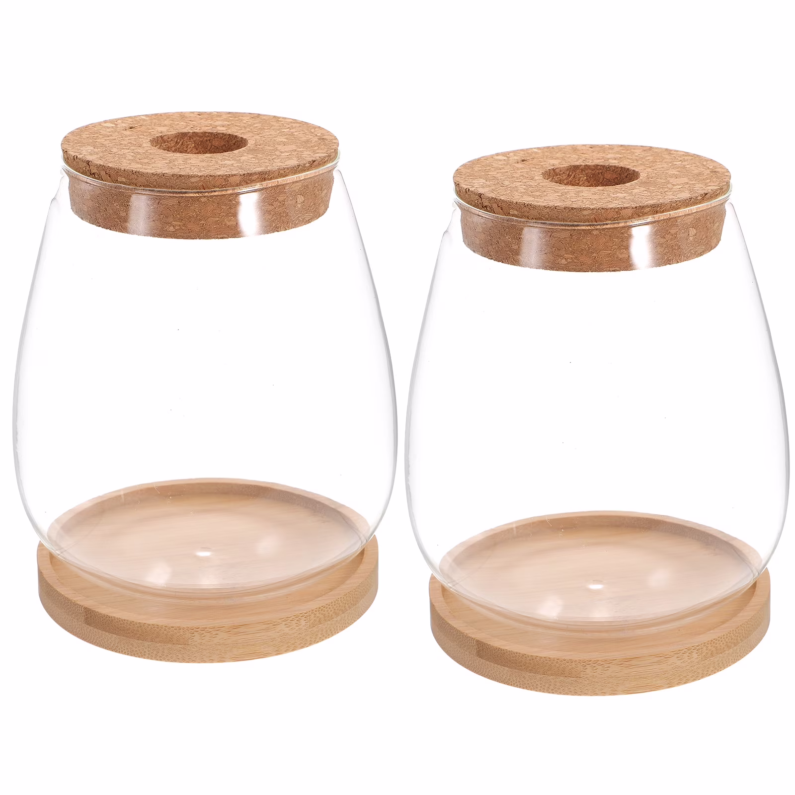 Landscape Flower Desktop Vase Plant Terrarium