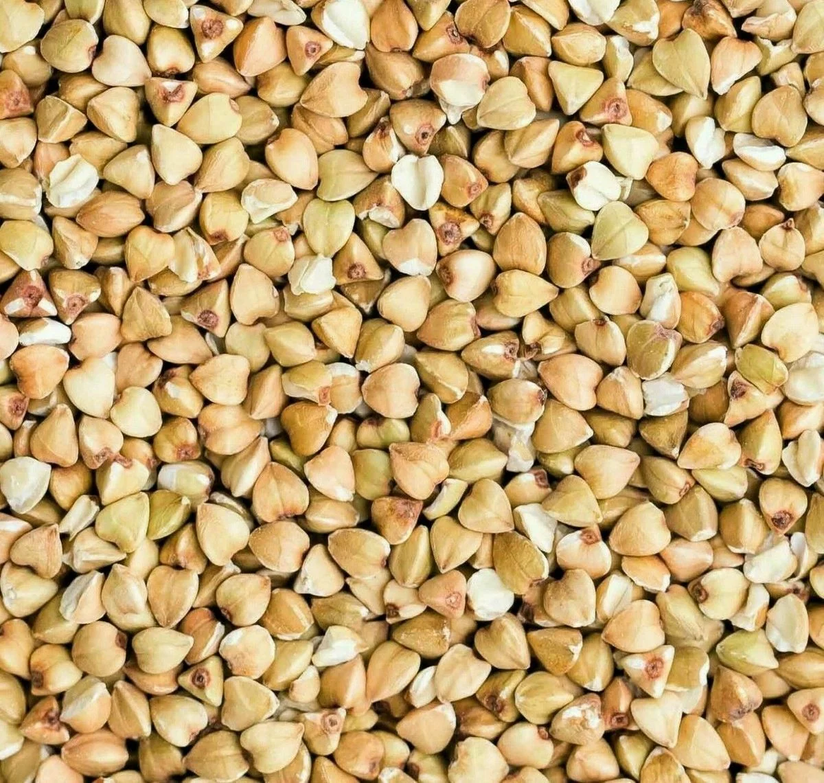 Organic Buckwheat Groats  10 LB