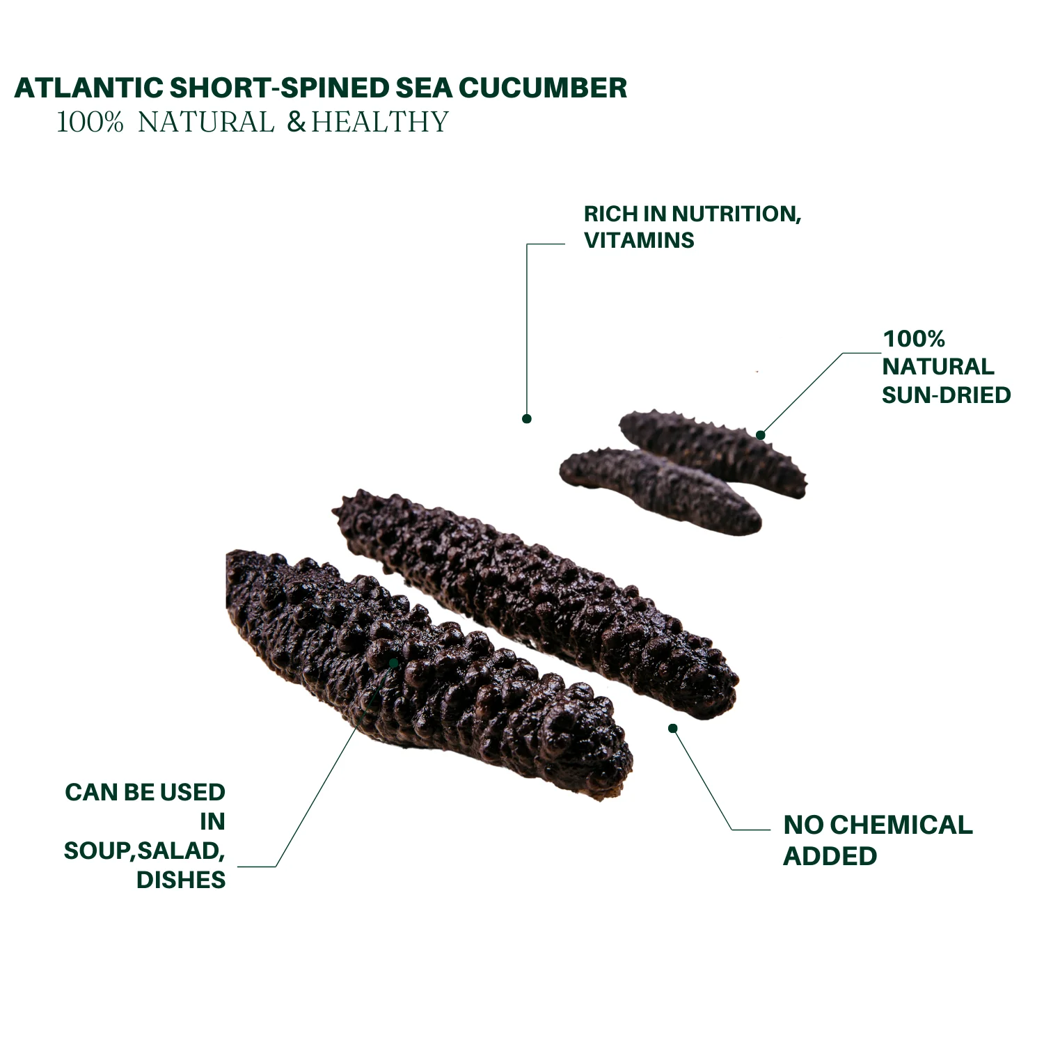 Royal Seafood USA Premium Dried Wild Atlantic short-spined Sea Cucumber, Mixed size 1lb 60-80 PCS
