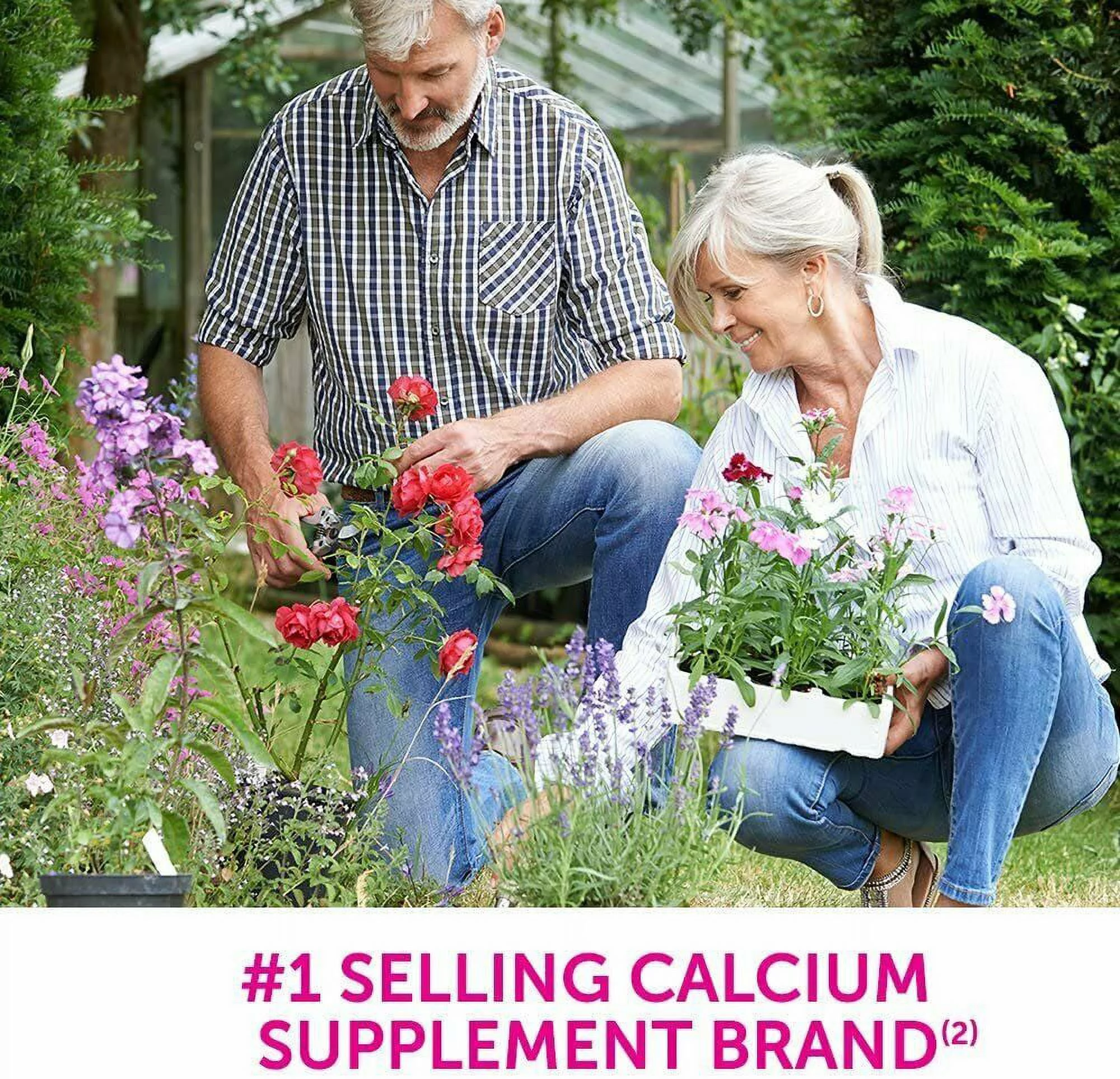 5 Pack - Caltrate Calcium - Vitamin D Soft Chews Vanilla Creme 60 Each