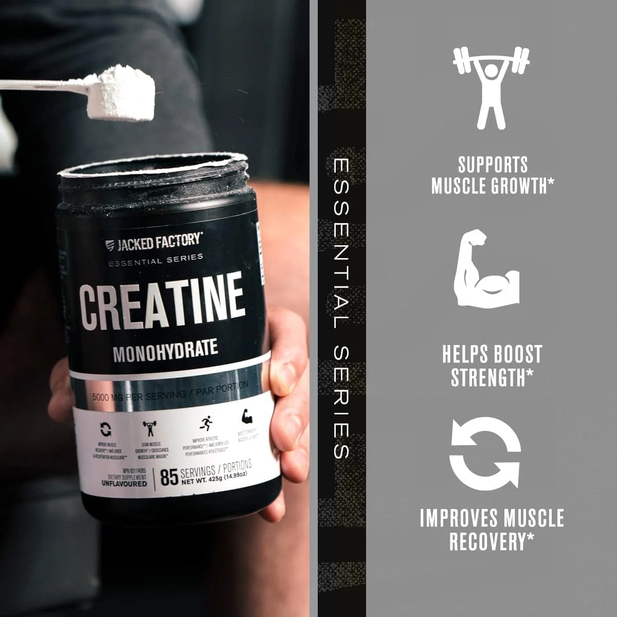 Jacked Factory Essential Series, Creatine Monohydrate, Unflavored, 14.99 oz (425 g)