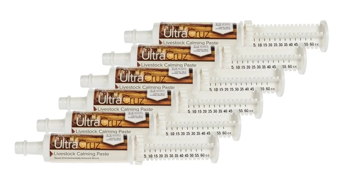 UltraCruz Livestock Calming Supplement, 60 ml, Paste, 6/Pack