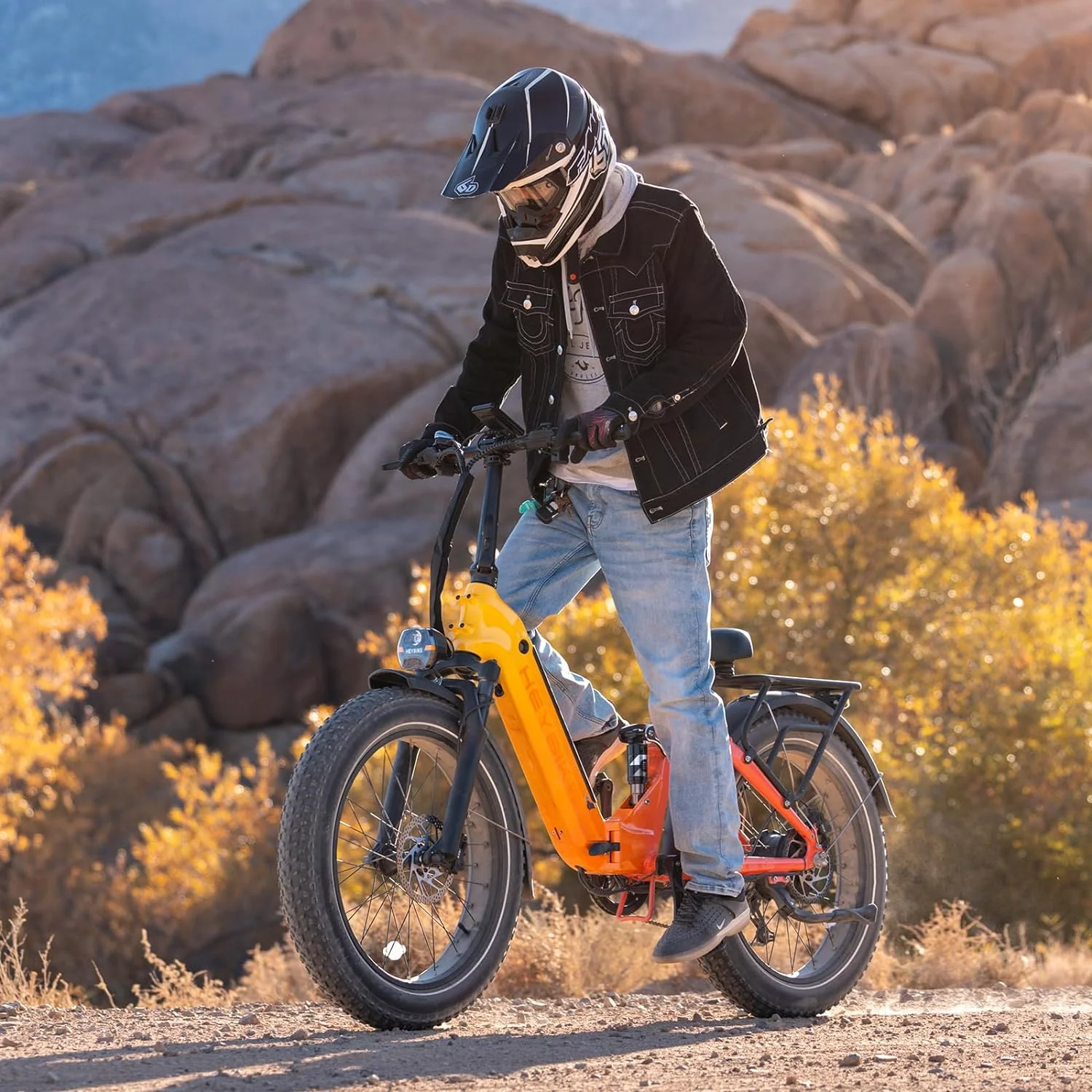 Heybike Horizon Electric Bike for Adults 750W Foldable Ebike with 48V 14.4AH Removable Battery,  24