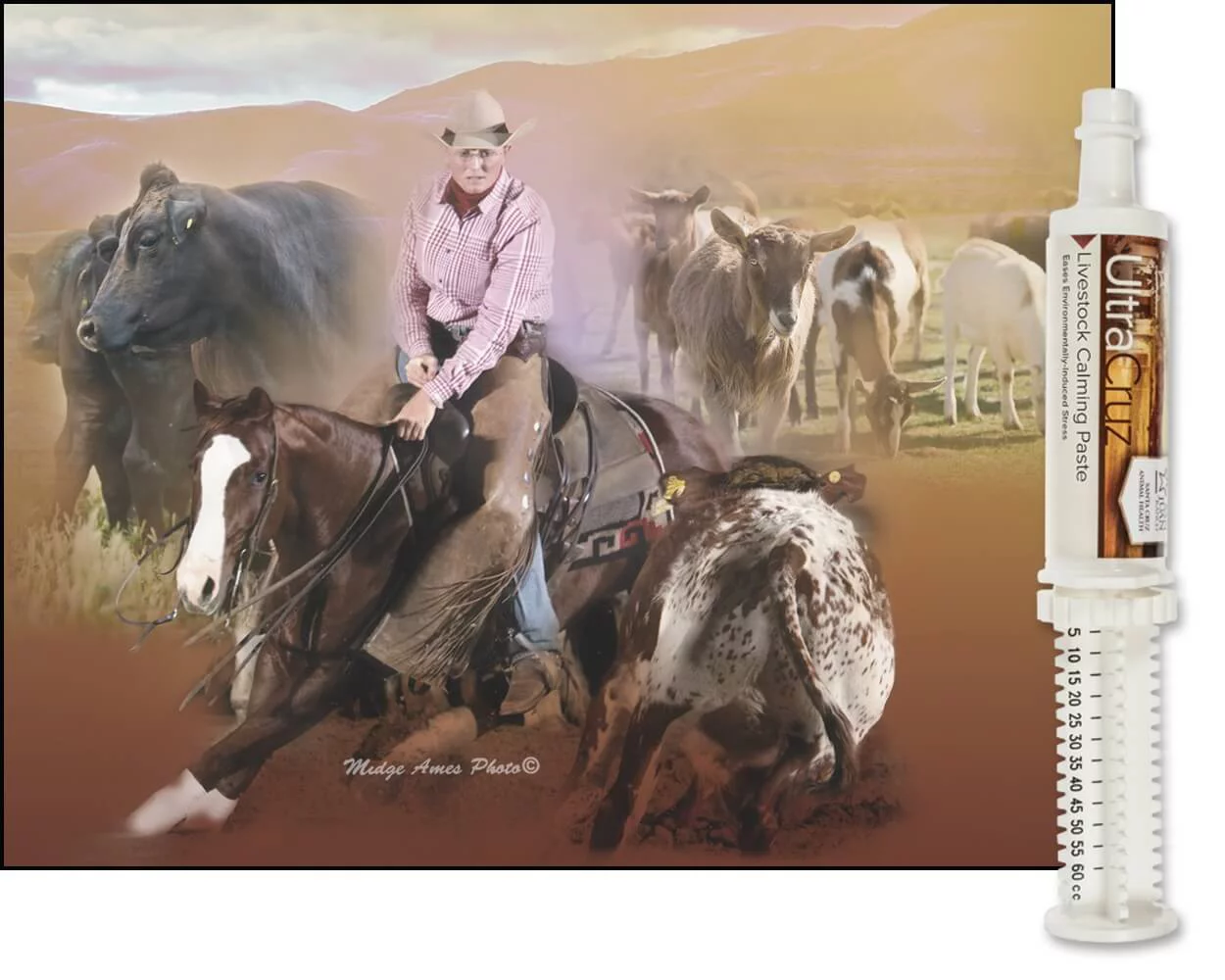 UltraCruz Livestock Calming Supplement, 60 ml, Paste, 6/Pack