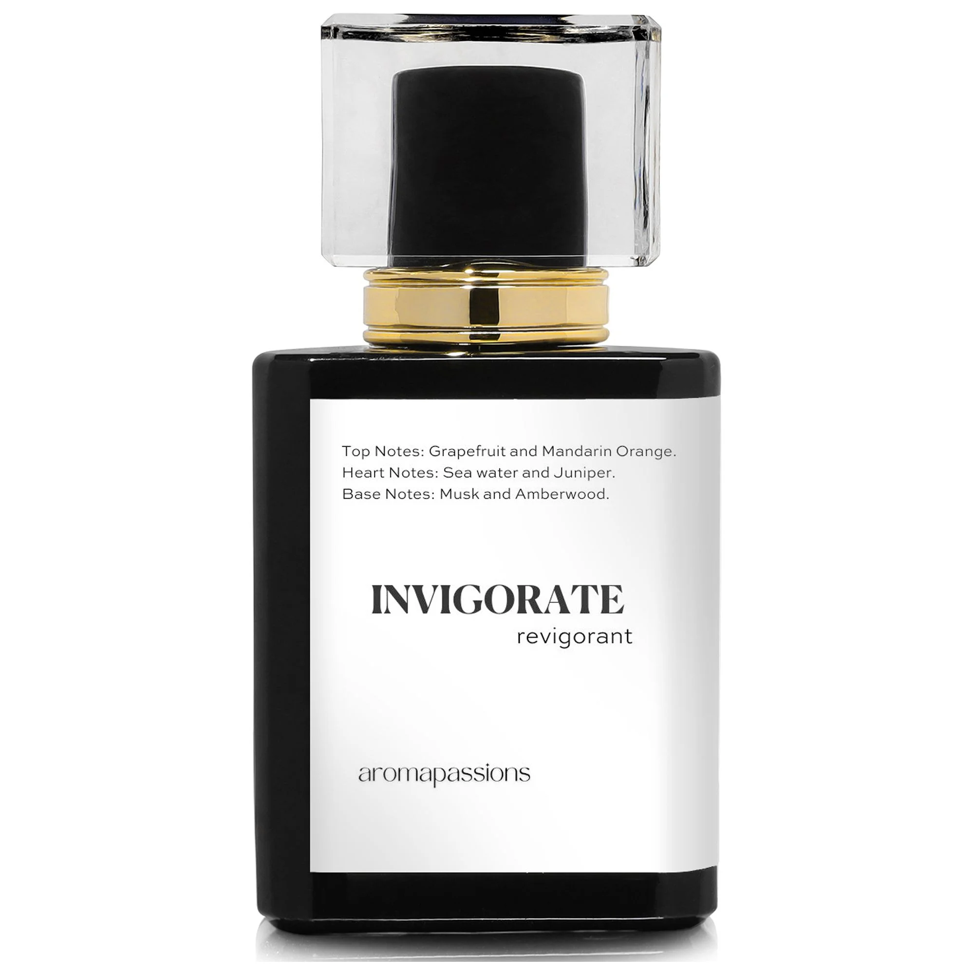 INVIGORATE | Inspired by Dolce & Gabbana LIGHT BLUE EAU INTENSE POUR HOMME | Pheromone Perfume for Men | Extrait De Parfum | Long Lasting