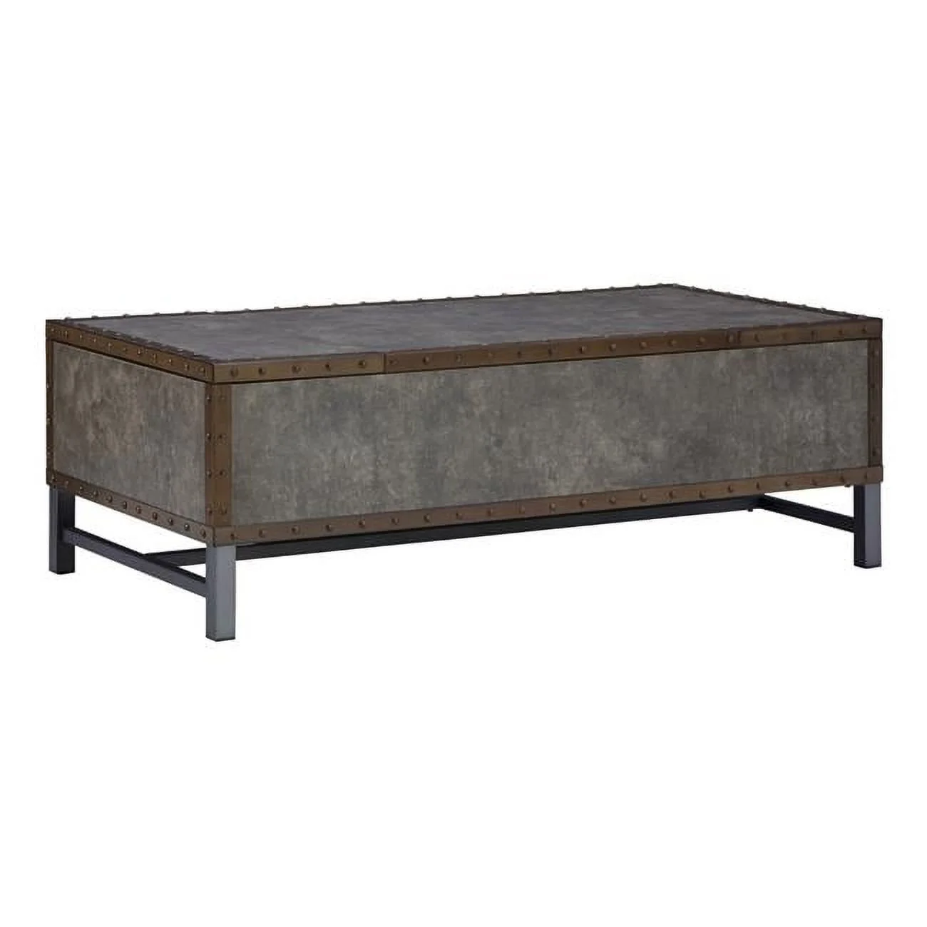 54 in. Rectangular Lift Top Trunk Coffee Table with 2 Bins, Gray & Bronze