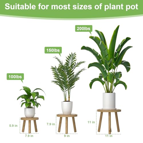 3-Pack Wood Plant Stands Indoor, Single Plant Stand for 6-12 Inch Pots, Mid-Century Modern Plant Stool, Tall Plant Stand for Large Plants for Living Room, Balcony, Office (Light Brown
