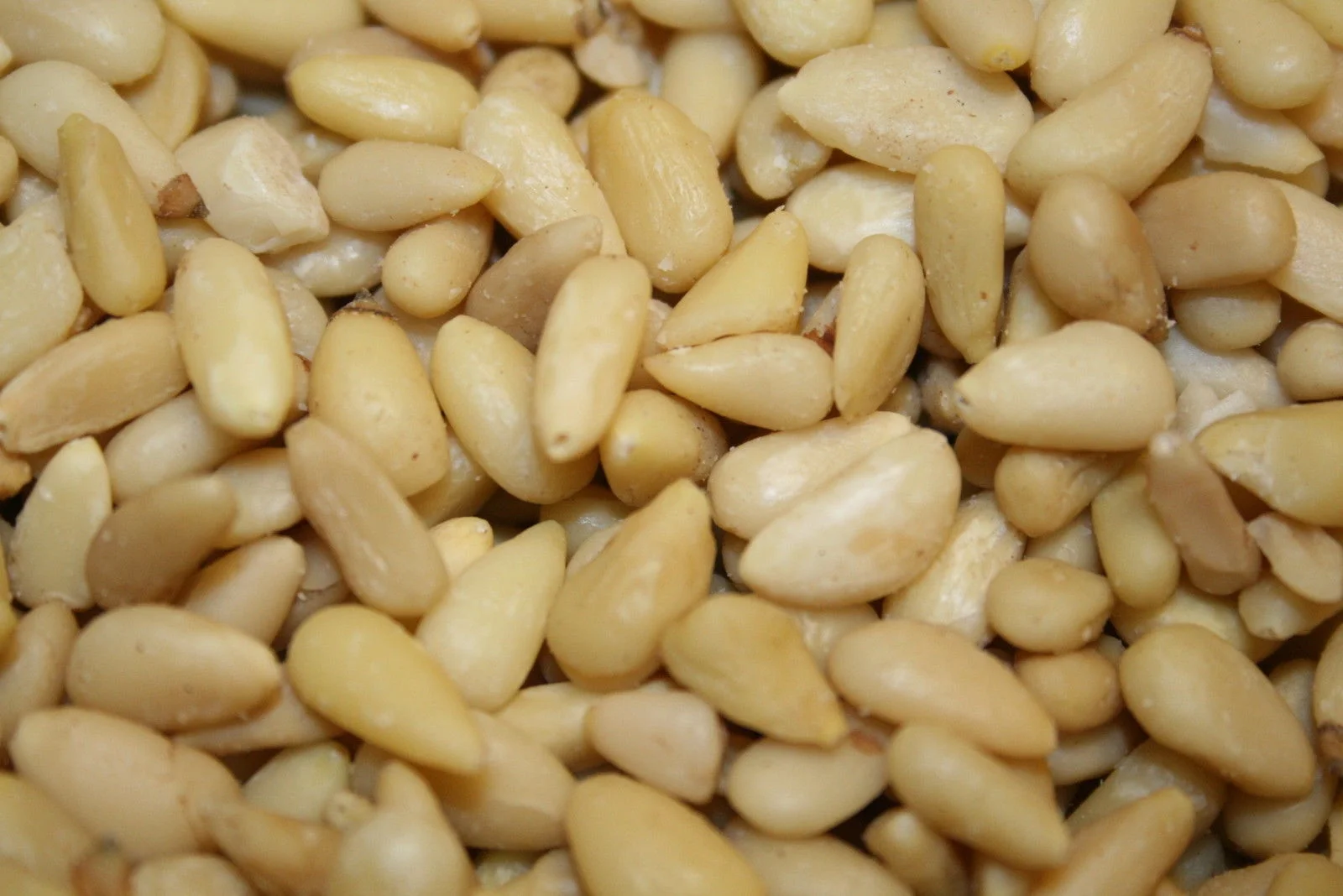 BAYSIDE CANDY PINE NUTS / PIGNOLIAS, 1LB