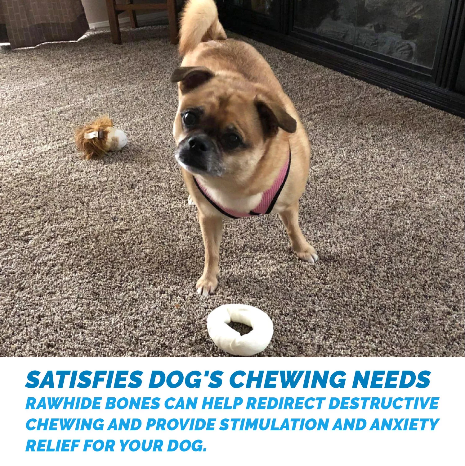 Rawhide Donuts Chews for Dogs (10 Count) Circle Size 3.5 inches Beef hide Donut chew for Pets