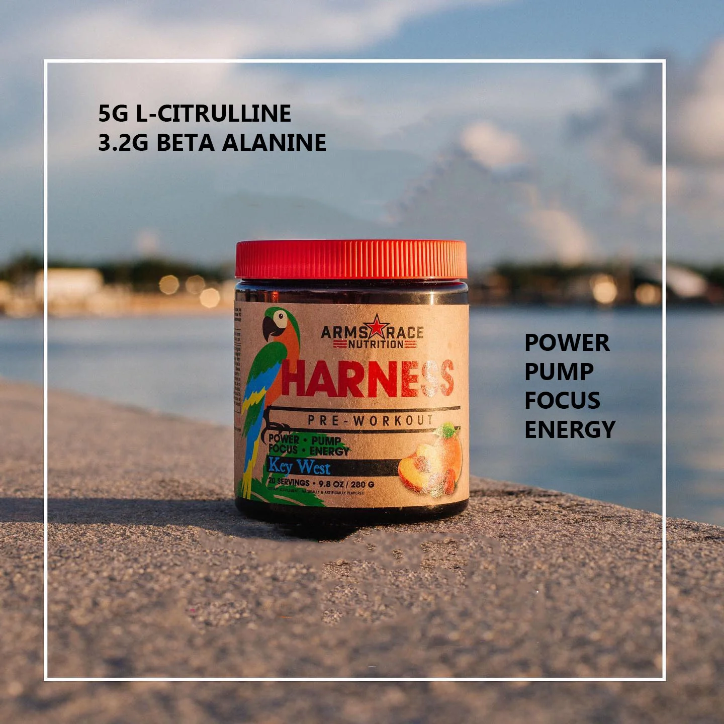 Arms Race Nutrition HARNESS - Pre Workout, 20 Servings (Kiwi Strawberry)