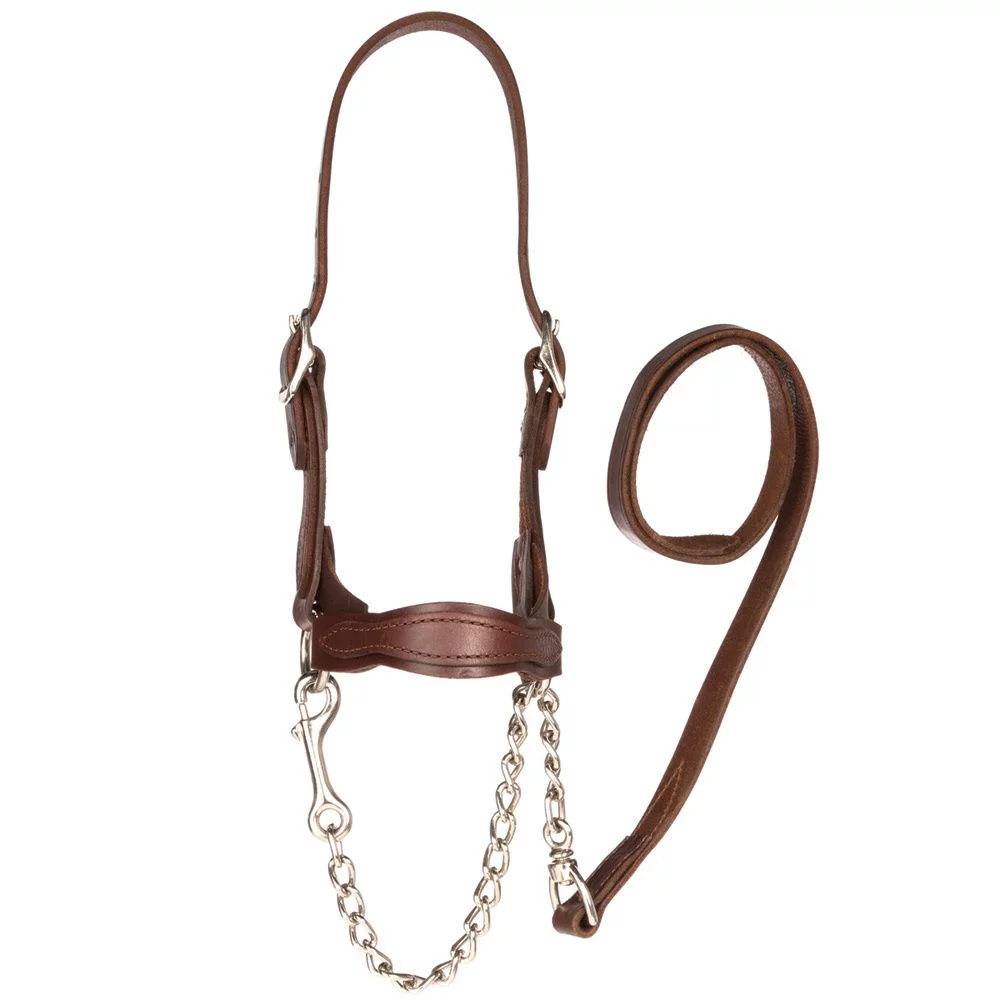 Sullivan Supply (C)Leather Scallop Nose Show Halter SM BR(6) Brown SMALL