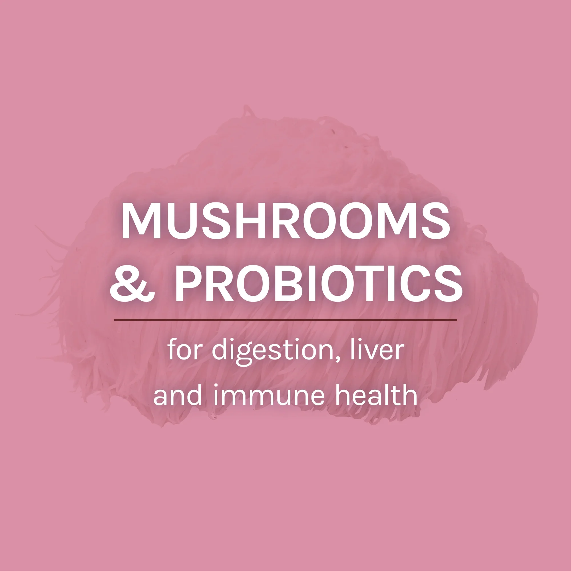 Host Defense MycoBotanicals Microbiome* Powder - 3.5 oz (33 Servings)