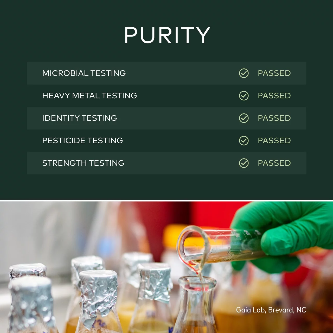 Gaia Herbs Energy Vitality - 60 Vegan Liquid Phyto-Caps (20-Day Supply)