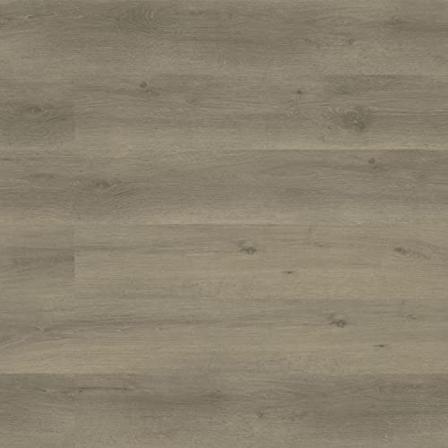 MSI Parkshore 7 in. x 48 in. x 12 MIL Luxury Vinyl Flooring, Rigid Core Planks, LVT Tile, Click Lock Floating Floor, Waterproof LVT, Wood Grain Finish, 26.147 Square Feet, Norfolk