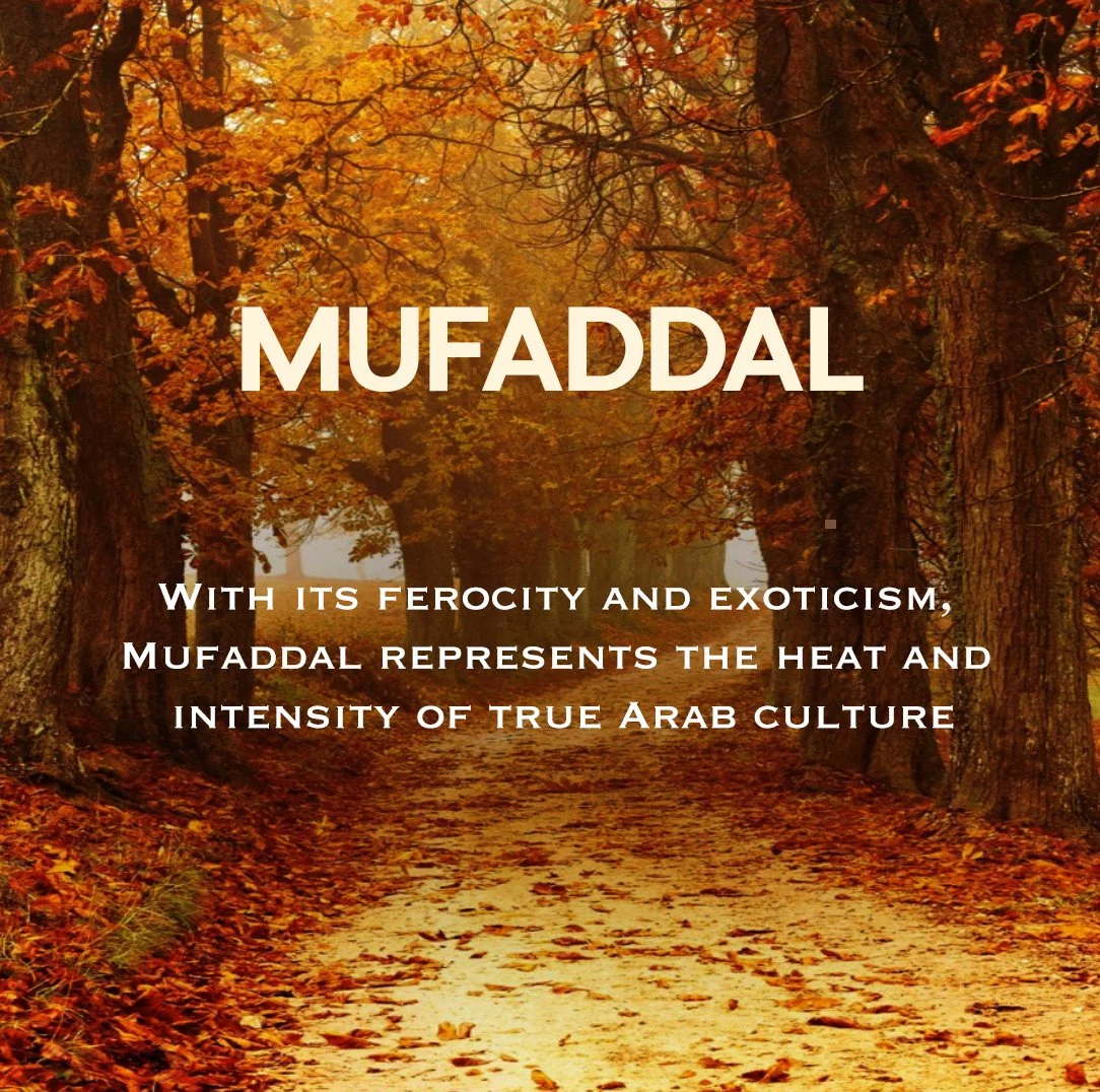 Mufaddal Perfume Oil Long Lasting Fruity Leather Musk Men Perfume Oil by Naseem