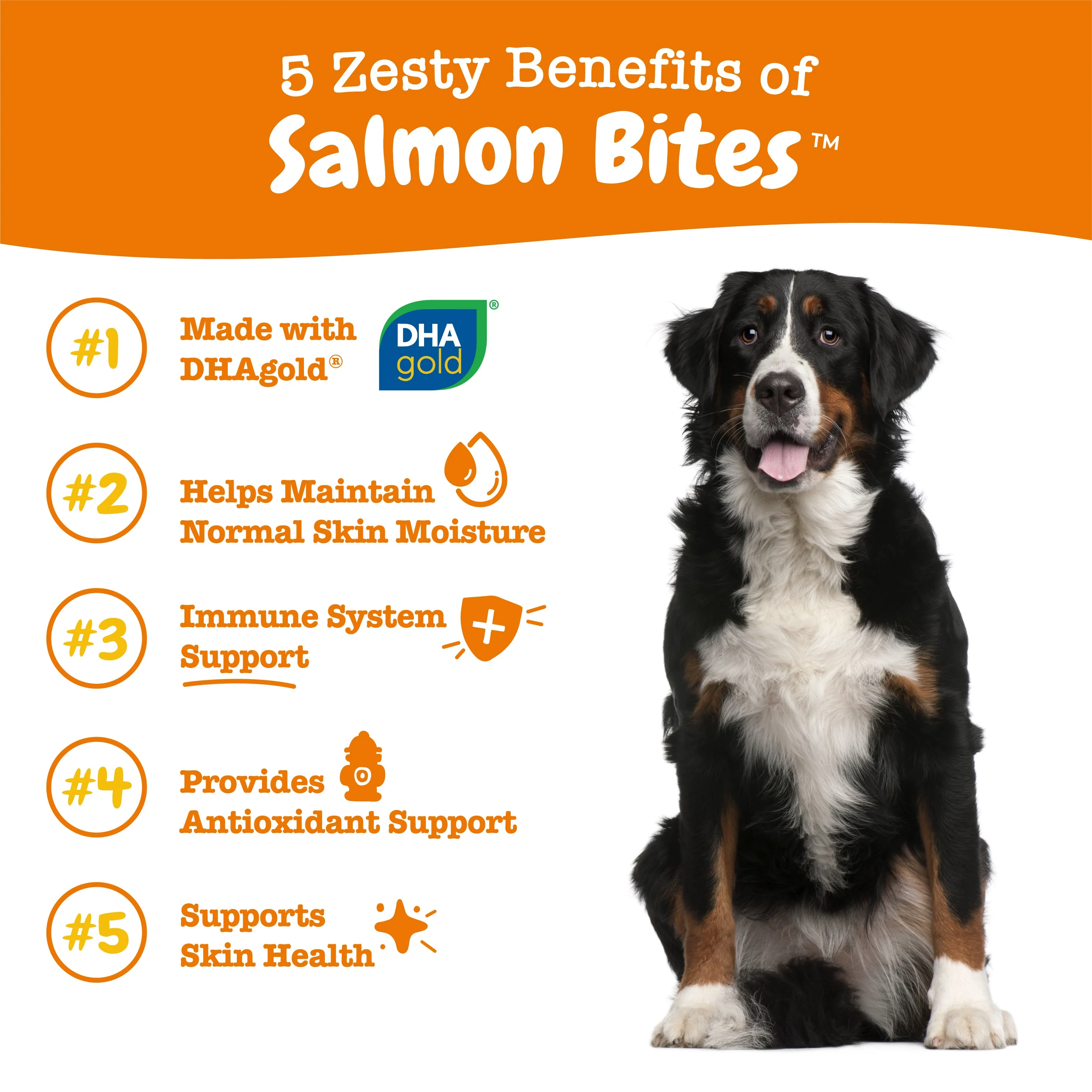 Zesty Paws Skin Health Omega Salmon Bites for Dogs, Salmon Flavor, 90 Count Soft Chews