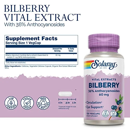 SOLARAY Bilberry Berry Extract 60 mg Per Capsule, Powerful Antioxidant, Guaranteed Potency for Healthy Vision & Circulation Support 120 VegCaps